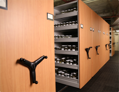 We can store virtually anything in our storage systems.